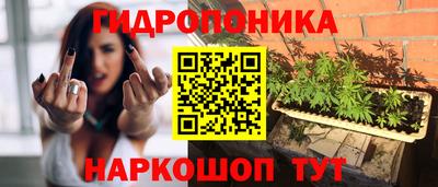 ECSTASY Кингисепп