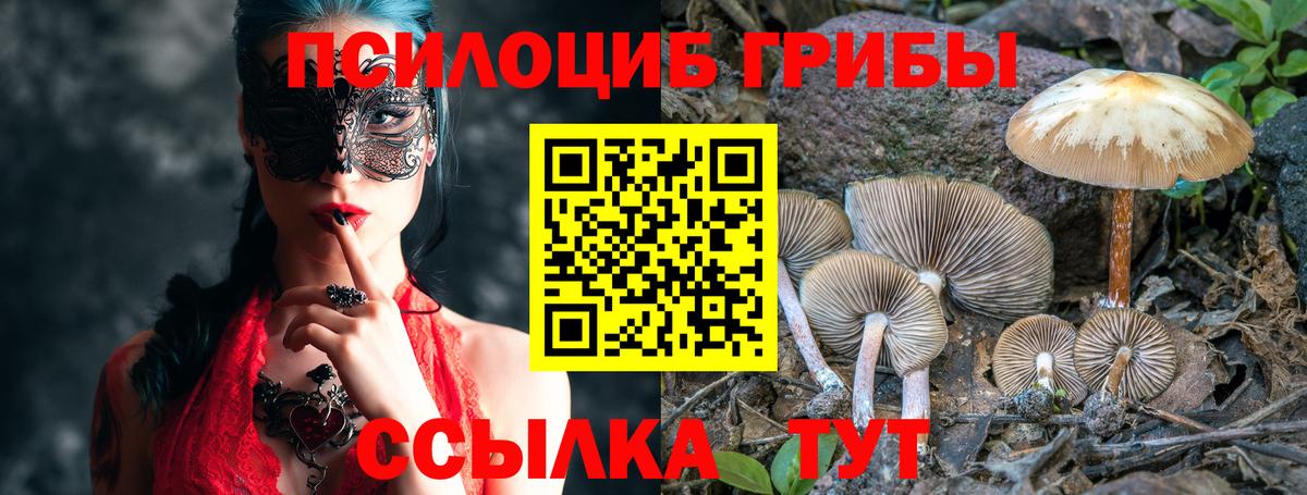 Галлюциногенные грибы GOLDEN TEACHER Коряжма