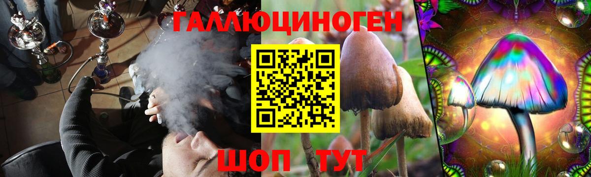 Псилоцибиновые грибы MAGIC MUSHROOMS  Вход с VPN  наркотики  Коряжма 